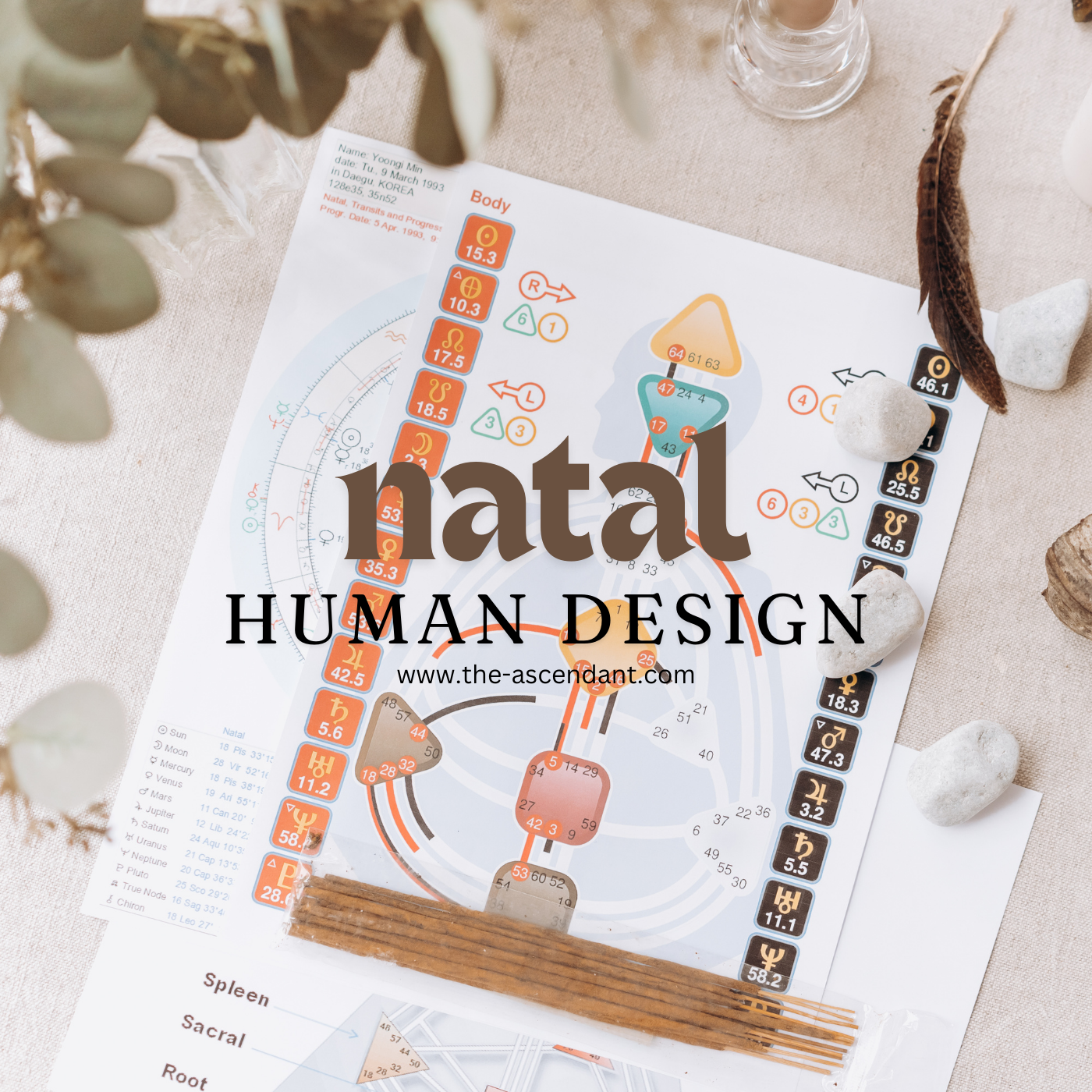Natal Human Design